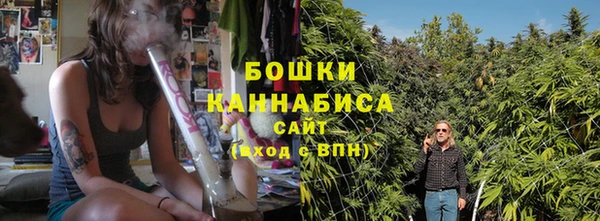 стафф Надым