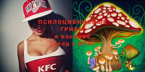 стафф Надым
