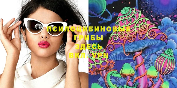 стафф Надым