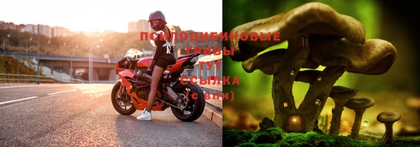 стафф Надым
